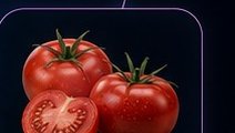 Domates kalite analizi çatlama çürüme olgunluk renk