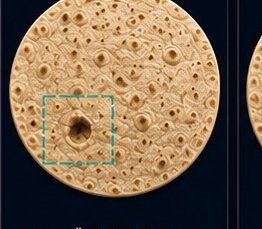 Tortilla delik tespiti